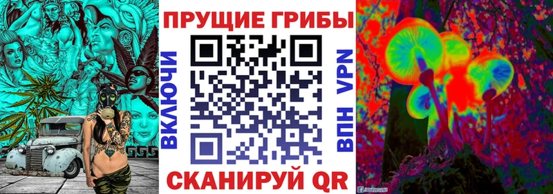 Псилоцибиновые грибы Magic Shrooms  мега зеркало  Почеп  где можно купить наркотик 