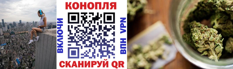 Канабис OG Kush  Почеп 